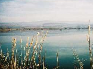 lacul Rotbav